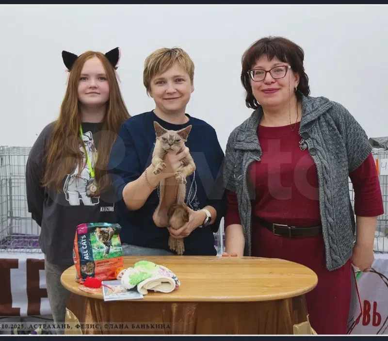 продавец